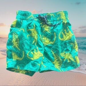 BABY GAP EUC BOYS GREEN YELLOW SWIMSUIT SUMMER POOL BEACH DINOSAUR SZ 12 18 MTHS